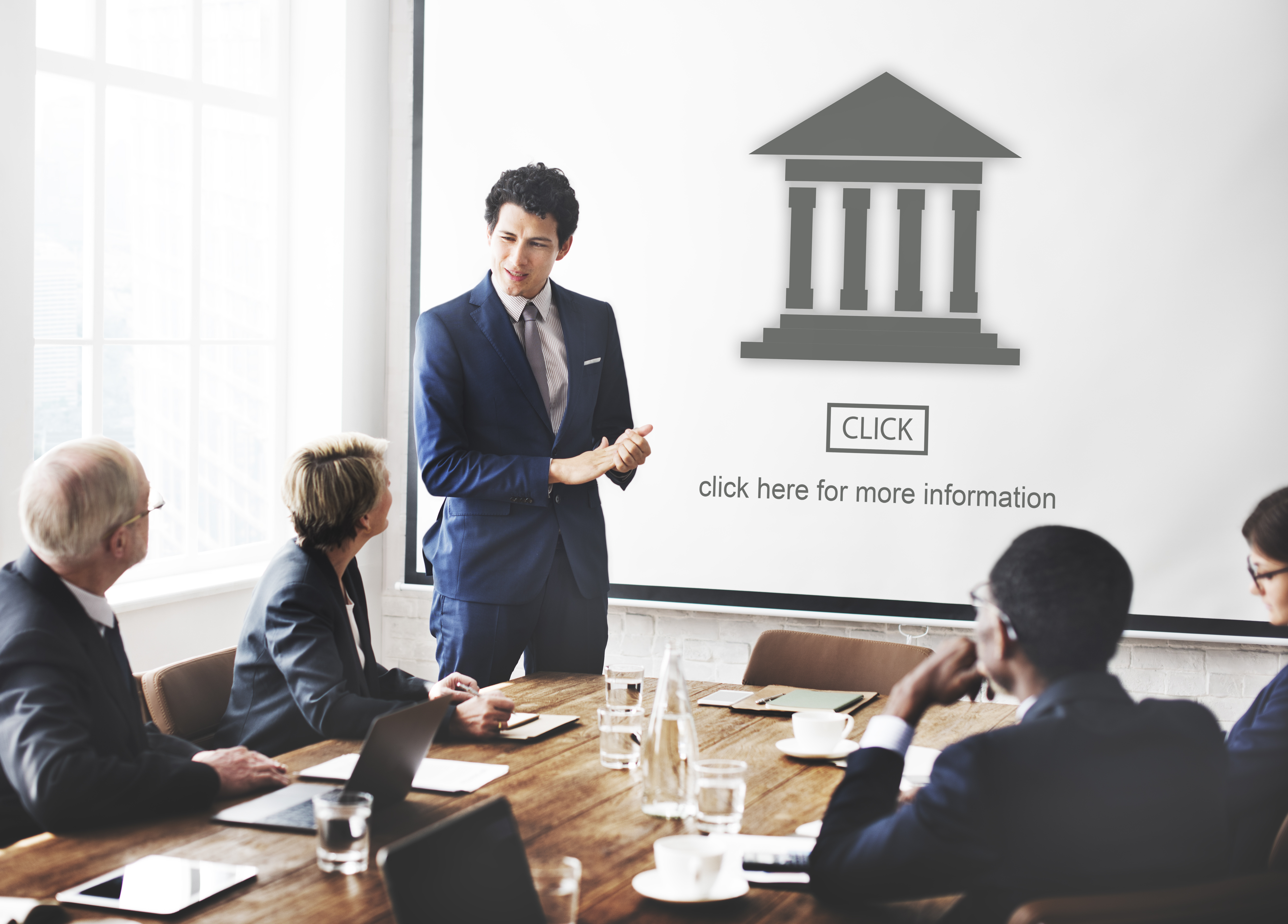 Government Consulting Services